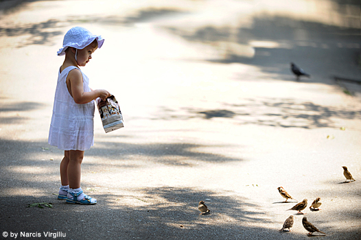 003_DSC6884 003_DSC6884