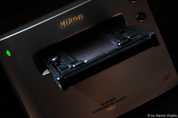 _NVI0518 web _NVI0518 web