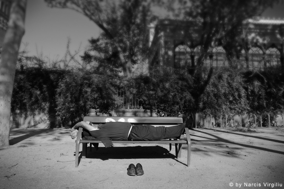 dorm_NVI2454 dorm_NVI2454