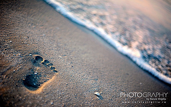 Wallpaper-N.V.-01 Wallpaper-N.V.-01