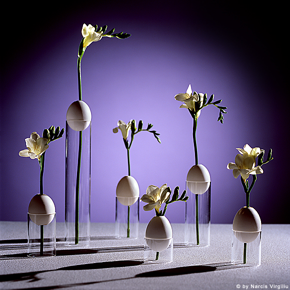 001Flori-print 001Flori-print