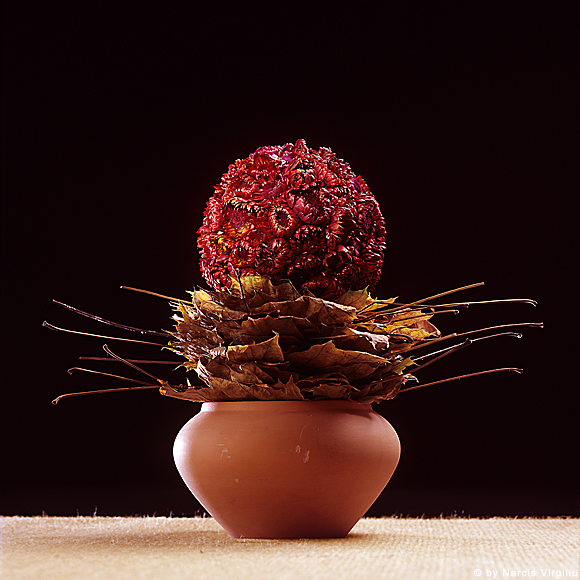 002-Flori-print 002-Flori-print