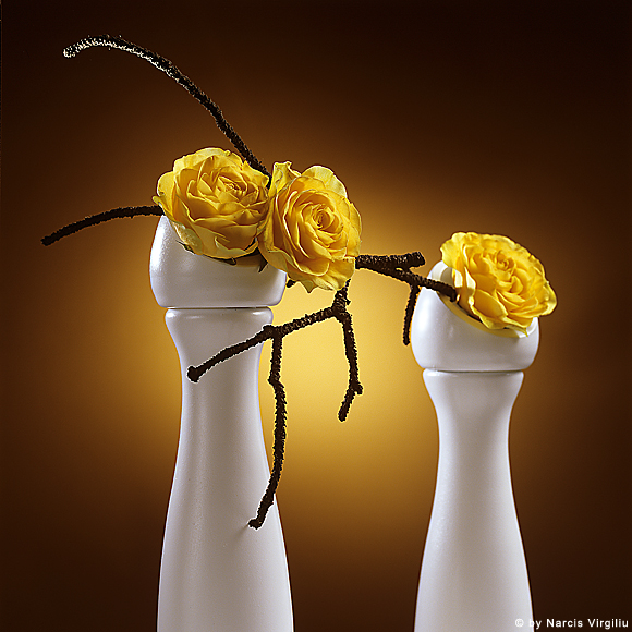 003-Flori-print 003-Flori-print