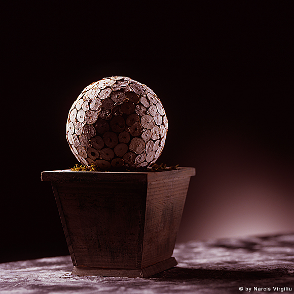 004-Flori-print 004-Flori-print