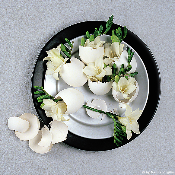 005-Flori-print 005-Flori-print