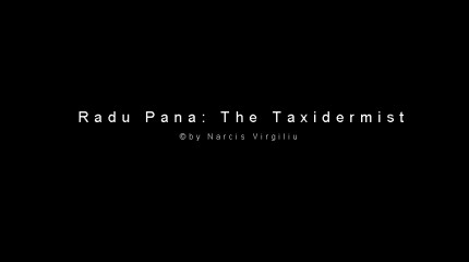 Moments of Truth – Radu Pana: The Taxidermist © by Narcis Virgiliu