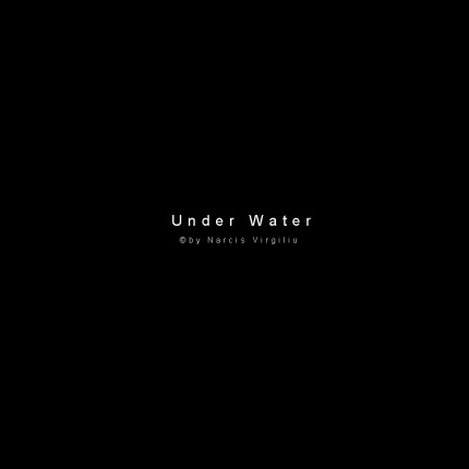 Moments of Truth – Under Water © by Narcis Virgiliu