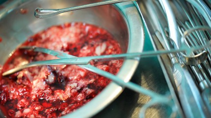 Moments of Truth – Mommy! Why…? © Photography  by Narcis Virgiliu