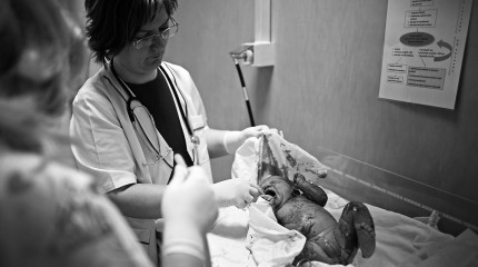 Moments of Truth – Starting Out © Photography by Narcis Virgiliu