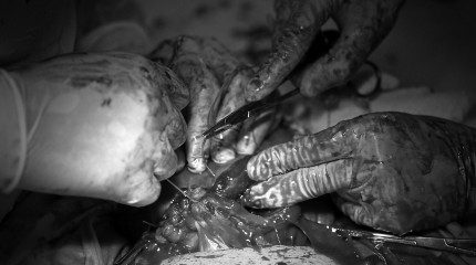 Moments of Truth – Starting Out © Photography by Narcis Virgiliu