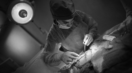 Moments of Truth – Starting Out © Photography by Narcis Virgiliu