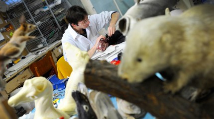 Moments of Truth – Radu Pana: The Taxidermist © Photography by Narcis Virgiliu