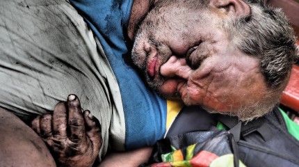 Moments of Truth – Small portraits of some big sleepy guys © Photography by Narcis Virgiliu