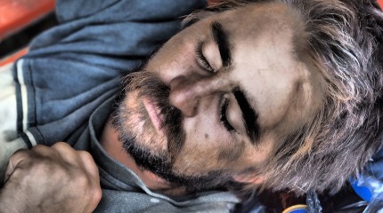 Moments of Truth – Small portraits of some big sleepy guys © Photography by Narcis Virgiliu