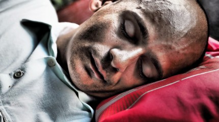 Moments of Truth – Small portraits of some big sleepy guys © Photography by Narcis Virgiliu