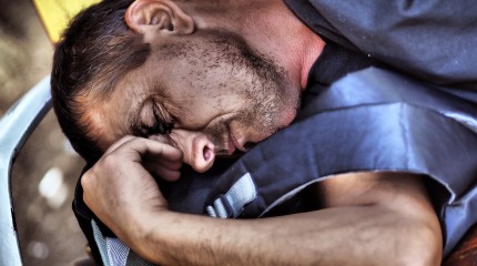 Moments of Truth – Small portraits of some big sleepy guys © Photography by Narcis Virgiliu
