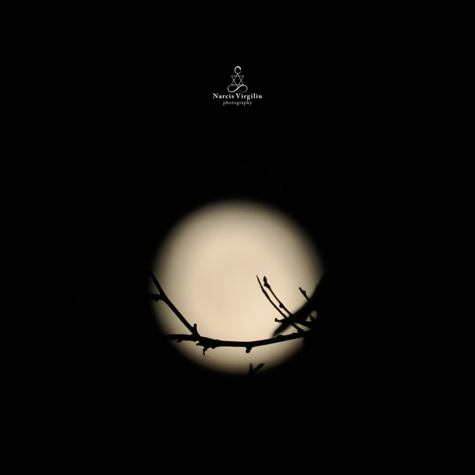 Full Moon 8.08.2025