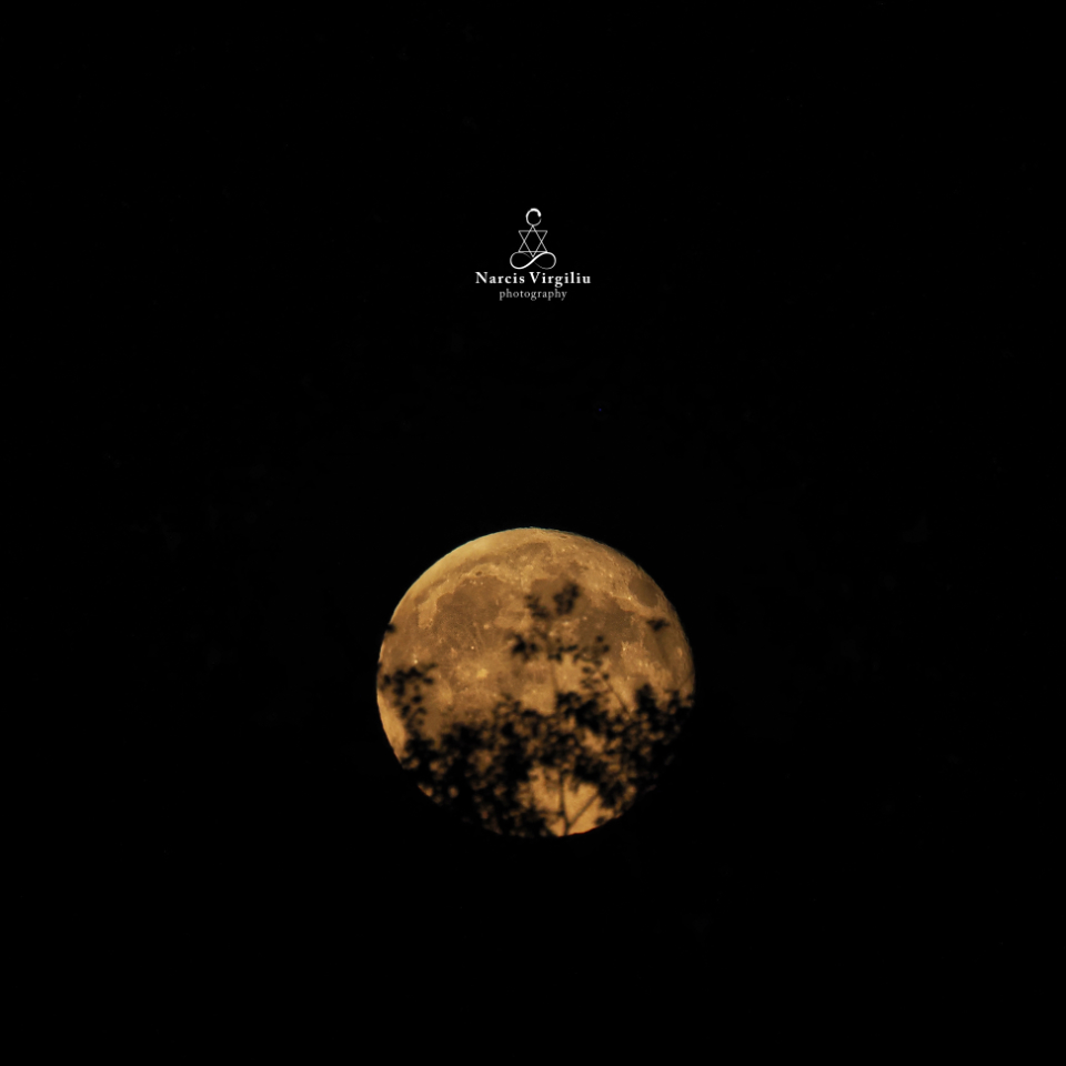 Narcis Virgiliu Photography