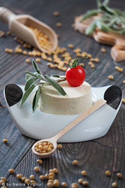 Tofu de Casa sau Branza de Soia