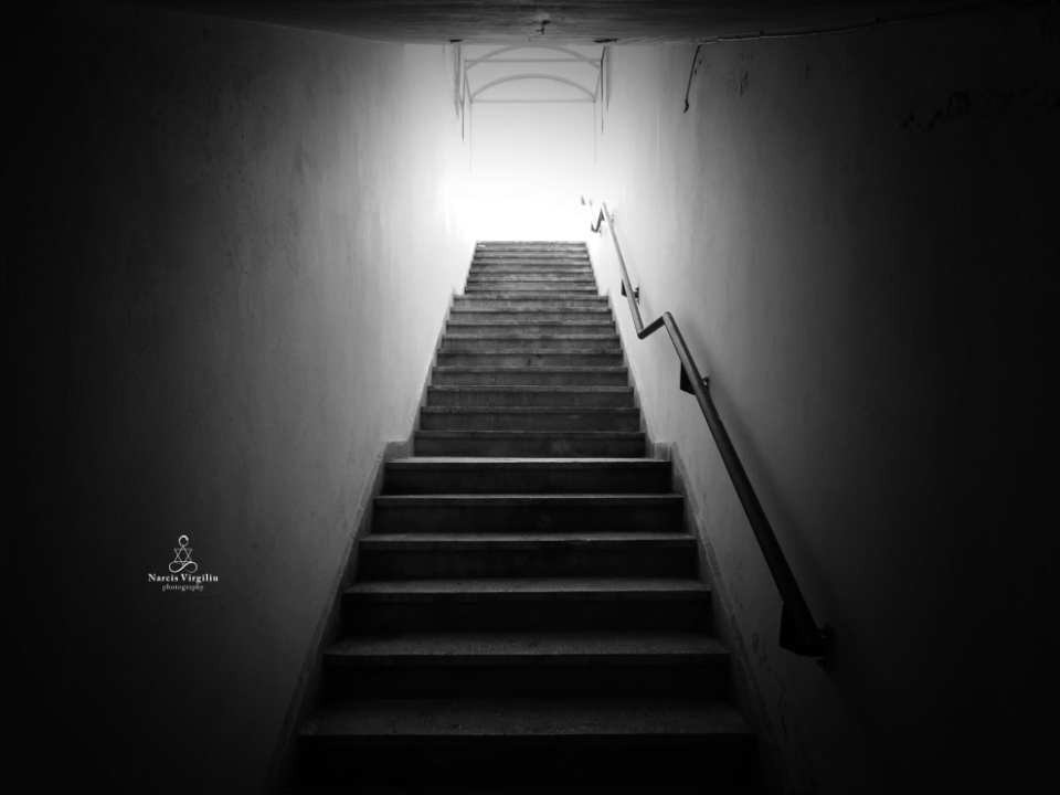 Drumul Către Lumină